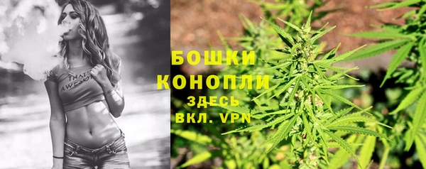 гашик Гусь-Хрустальный