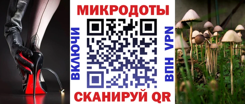 Псилоцибиновые грибы Magic Shrooms  Купить закладки  Адыгейск 